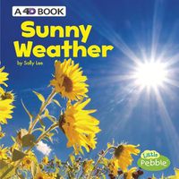 Cover image for Sunny Weather: a 4D Book (All Kinds of Weather)