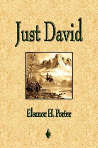 Cover image for Just David