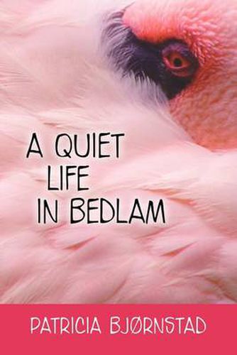 Cover image for A Quiet Life in Bedlam