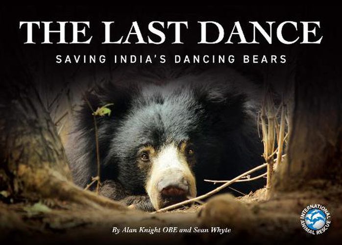 Cover image for The Last Dance: Saving India's Dancing Beras