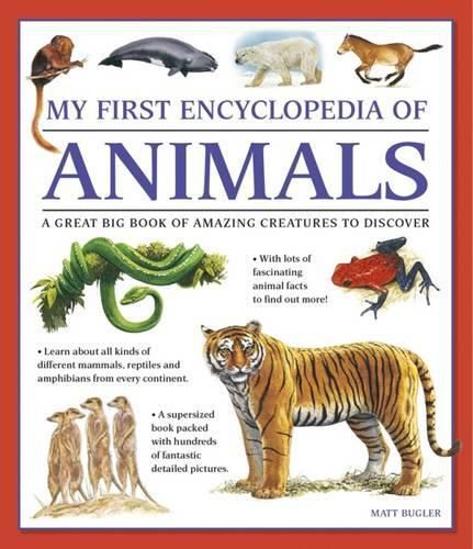 Cover image for My First Encyclopedia of Animals (giant Size)