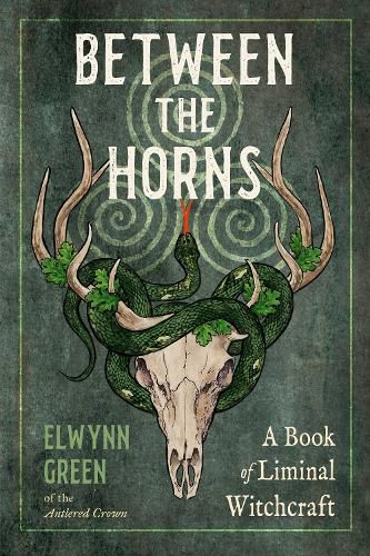 Cover image for Between the Horns