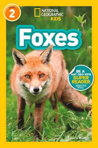 Cover image for Foxes (L2)