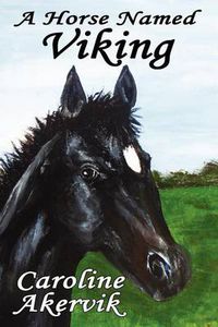 Cover image for A Horse Named Viking