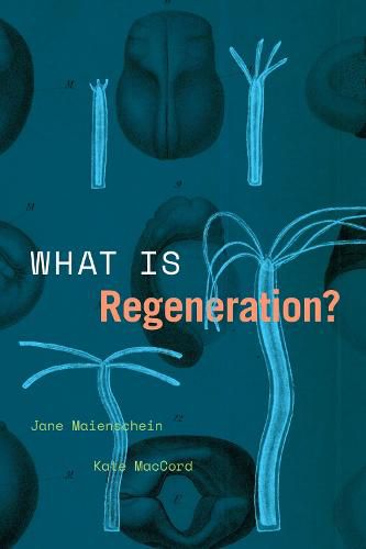 Cover image for What Is Regeneration?