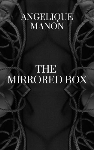 Cover image for The Mirrored Box