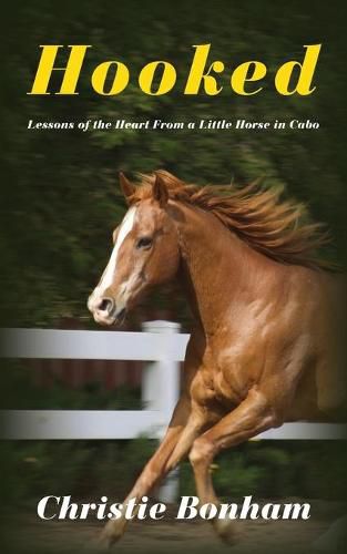 Cover image for Hooked: Lessons of the Heart From a Little Horse in Cabo