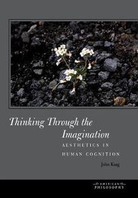 Cover image for Thinking Through the Imagination: Aesthetics in Human Cognition