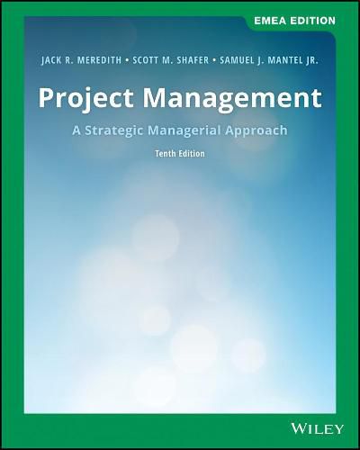 Cover image for Project Management: A Strategic Managerial Approach