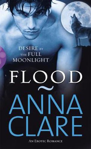 Cover image for Flood