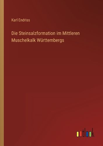 Cover image for Die Steinsalzformation im Mittleren Muschelkalk Wuerttembergs