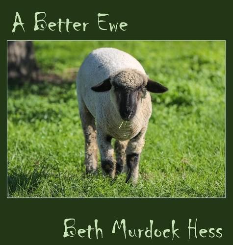 Cover image for A Better Ewe