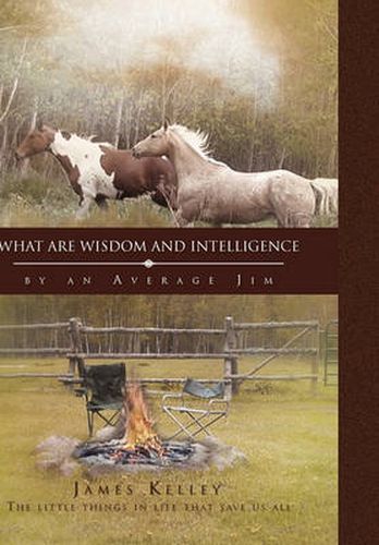 Cover image for What Are Wisdom and Intelligence