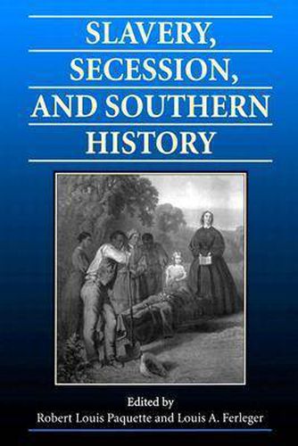 Cover image for Slavery, Secession and Southern History