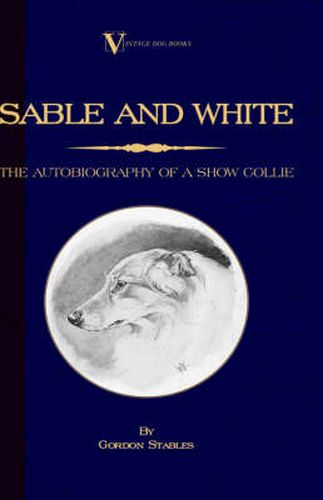 Cover image for Sable and White - The Autobiography of a Show Collie (A Vintage Dog Books Breed Classic)