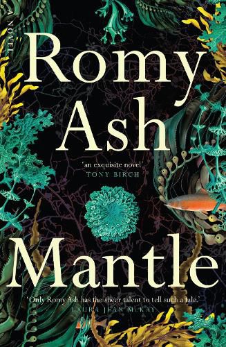 Cover image for Mantle