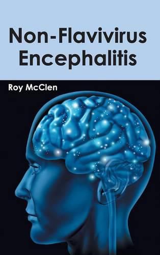 Cover image for Non-Flavivirus Encephalitis