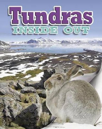Cover image for Tundras Inside Out