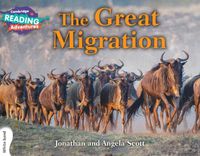 Cover image for Cambridge Reading Adventures The Great Migration White Band