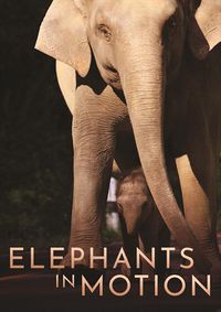 Cover image for Elephants In Motion