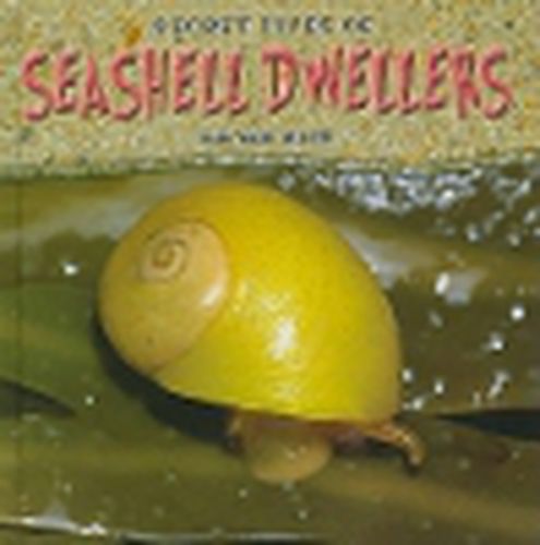 Secret Lives of Seashell Dwellers