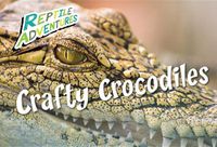 Cover image for Crafty Crocodiles