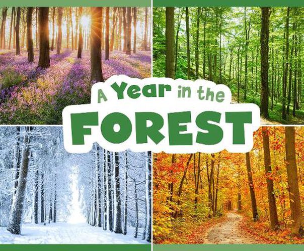 Cover image for A Year in the Forest