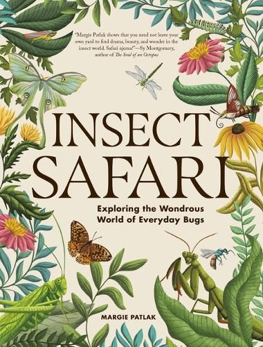 Cover image for Insect Safari