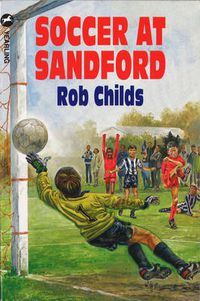 Cover image for Soccer At Sandford