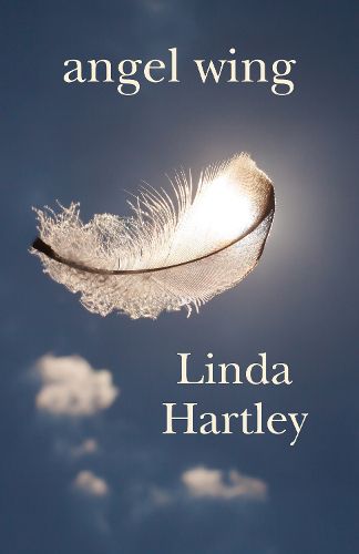 Cover image for Angel Wing