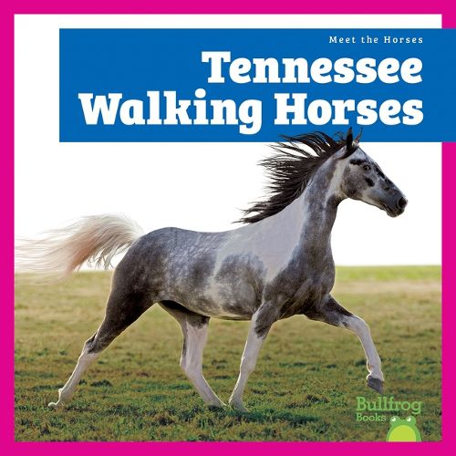 Cover image for Tennessee Walking Horses