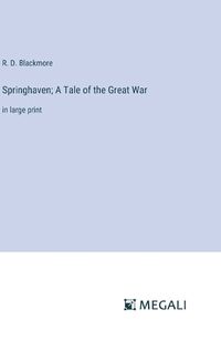 Cover image for Springhaven; A Tale of the Great War