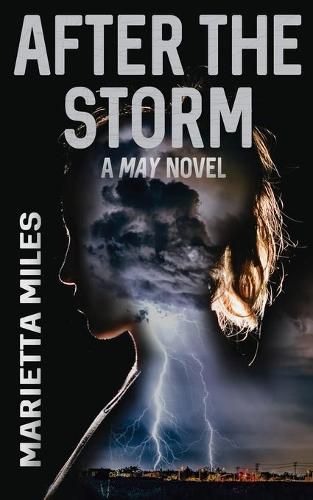 Cover image for After the Storm