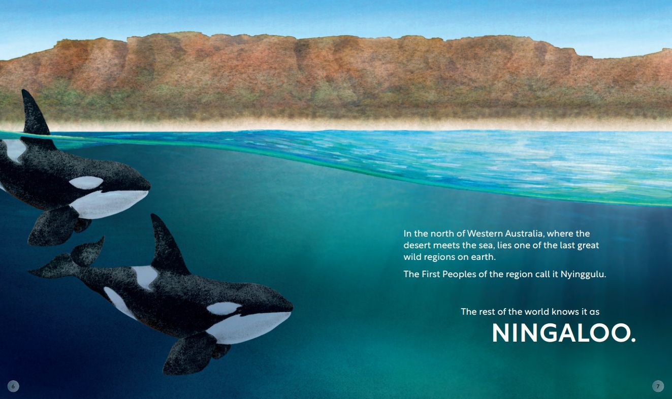 Ningaloo: Australia's Wild Wonder