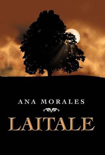 Cover image for Laitale