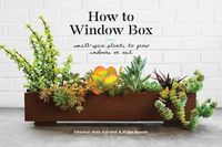 Cover image for How to Window Box: Small-Space Plants to Grow Indoors or Out