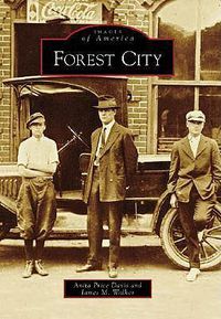 Cover image for Forest City