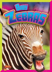 Cover image for Baby Zebras