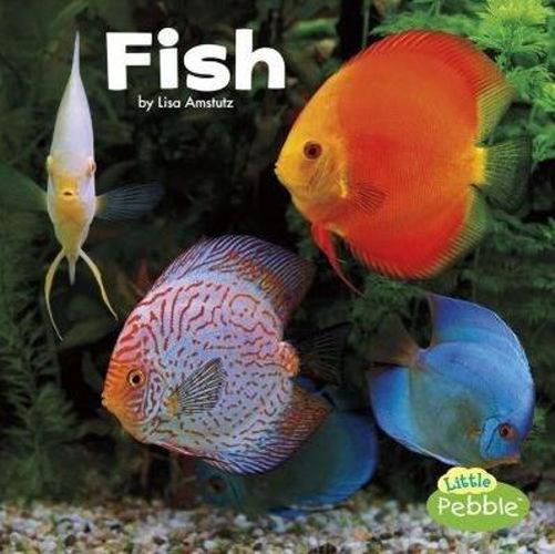 Cover image for Fish (Our Pets)