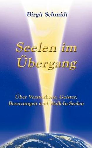 Cover image for Seelen im UEbergang: UEber Verstorbene, Geister, Besetzungen und Walk-In-Seelen