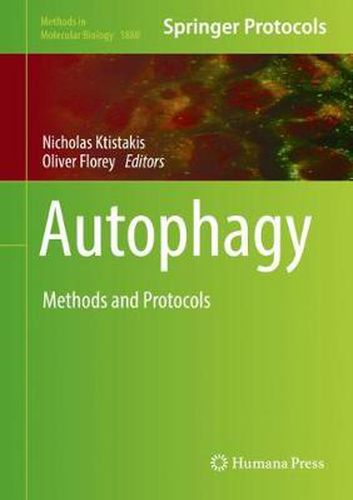 Cover image for Autophagy: Methods and Protocols