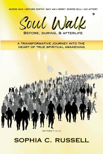 Cover image for Soul Walk