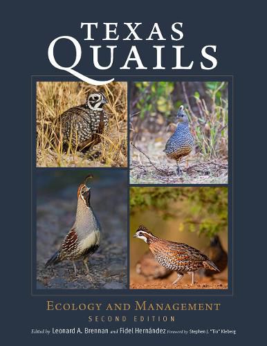 Cover image for Texas Quails
