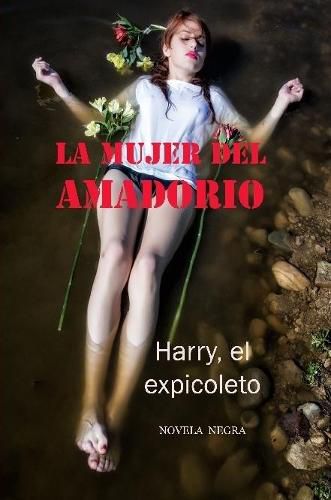 Cover image for La mujer del Amadorio