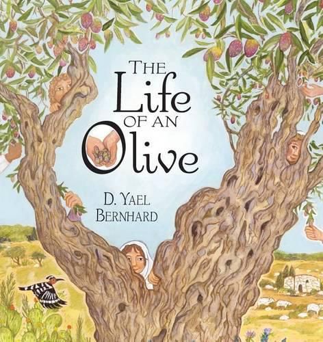 Cover image for The Life of an Olive