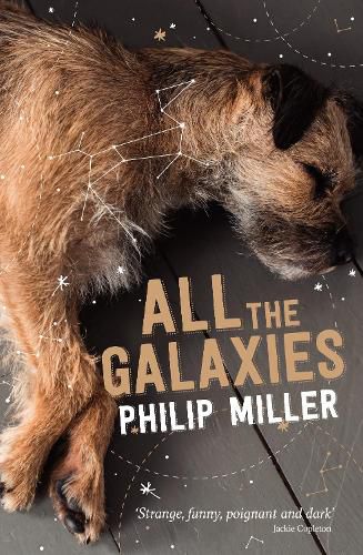 Cover image for All the Galaxies