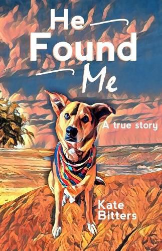 Cover image for He Found Me