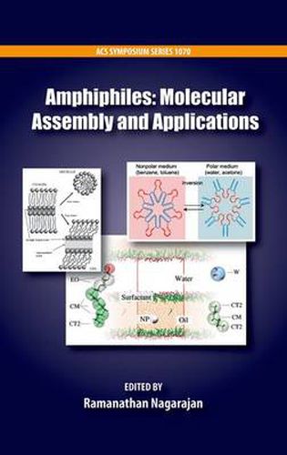 Cover image for Amphiphiles: Molecular Assembly and Applications