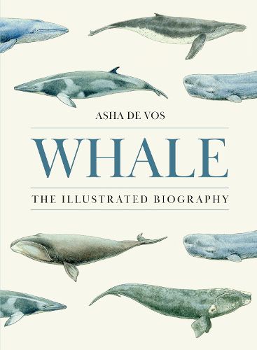 Cover image for Whale