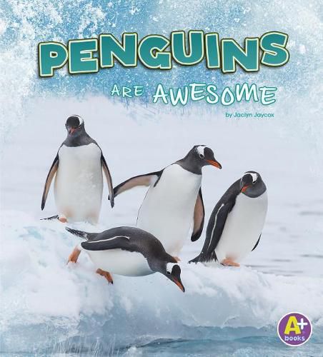 Cover image for Penguins are Awesome